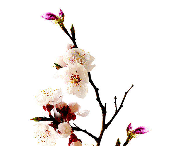 精美花瓶