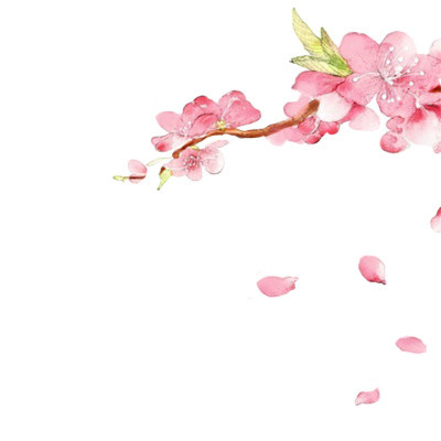 鲜花图案