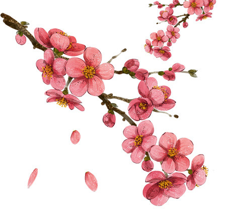 粉色桃花花朵图案