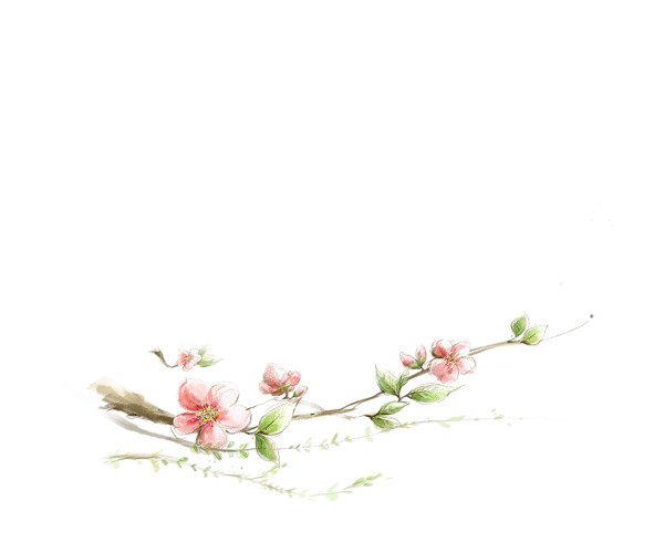 一枝独秀