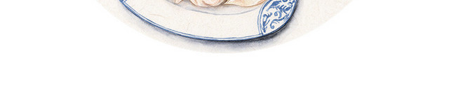 立冬饺子素材
