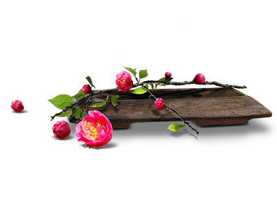 桌子 花