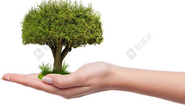 PNG 这个想法是 长大了 植物 性质 树 设计