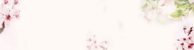 护肤桃花唯美背景BANNER