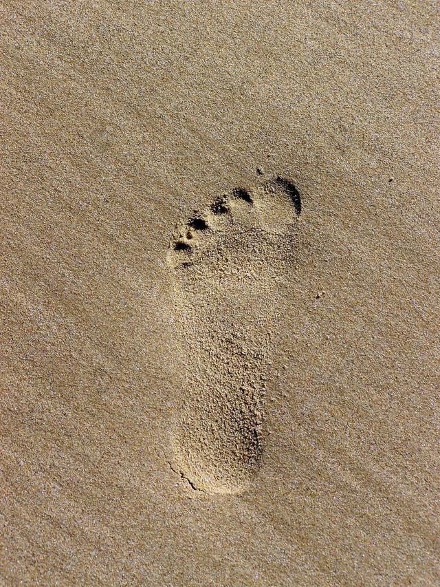 占地面积 在沙子里的曲目 在沙子里的脚印 沙 海滩
