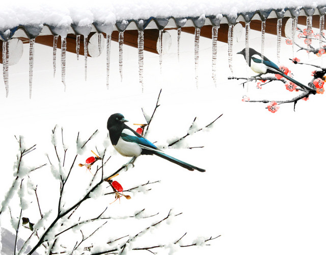 雪
