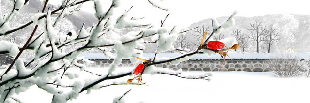 雪