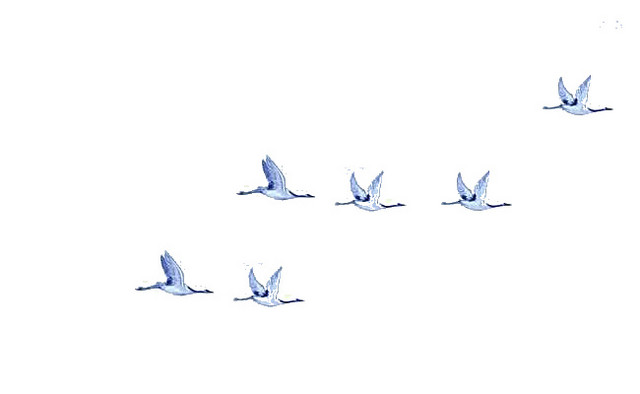 鹤