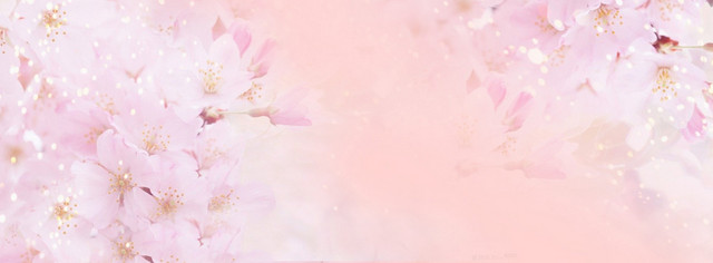 淘宝唯美女装桃花背景BANNER