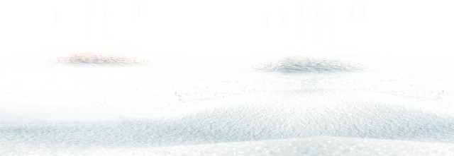雪地