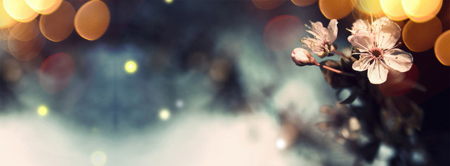 香水奢华背景BANNER