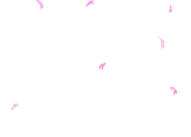 樱花飘落