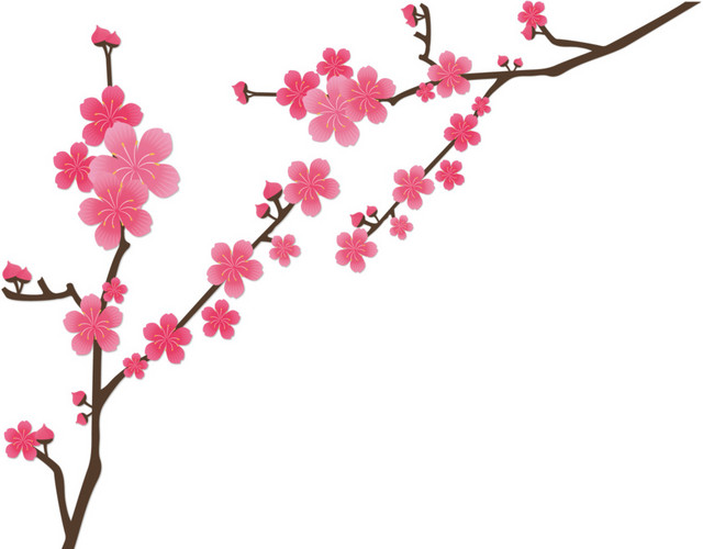 日本美丽粉红樱花