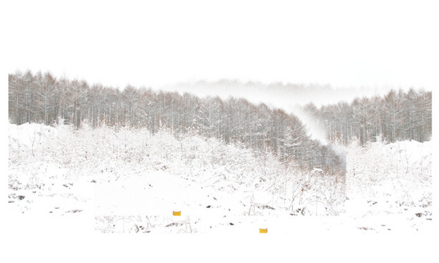 冬季雪景