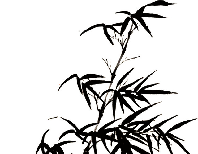竹子素材