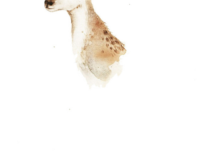 手绘小鹿