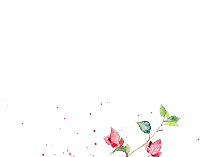 小清新红色鲜花背景