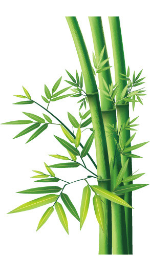 竹子竹叶素材