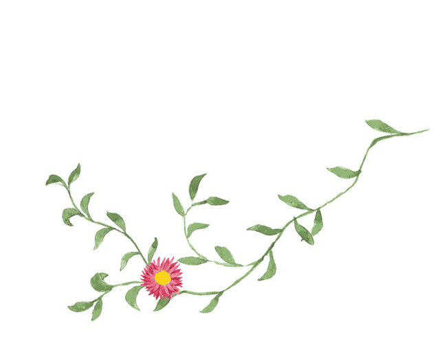 手绘小草小花插画