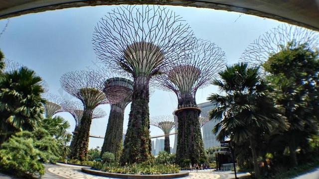 人造树 新加坡 植物园