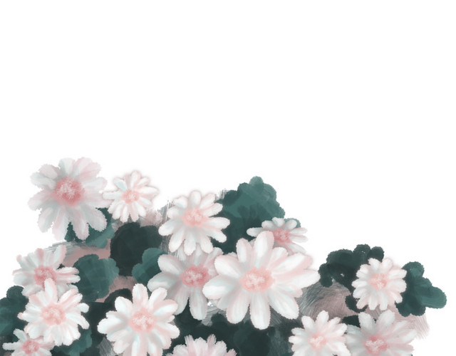 花卉植物白花绿叶手绘插画PSD