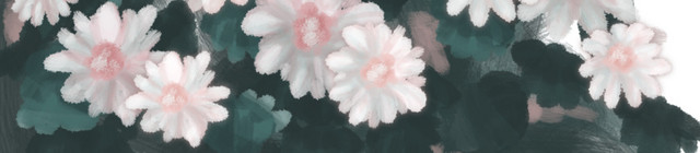 花卉植物白花绿叶手绘插画PSD