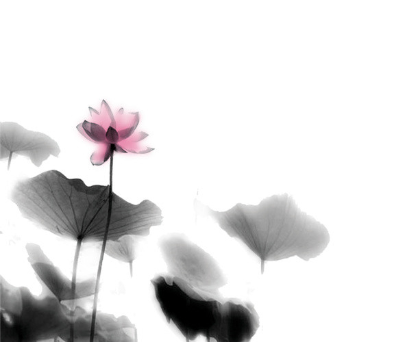 莲花挺立
