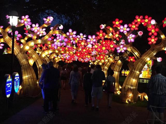 彩色光影炫彩不同造型的灯光秀光影灯展背景图片