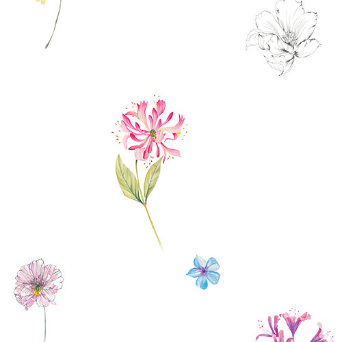 清新花卉