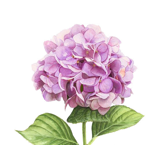 手绘粉色小碎花花球