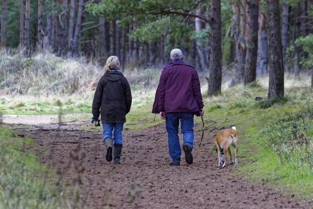 人物和谐走在树林间路上的男女和狗旅游运动自然背景图片