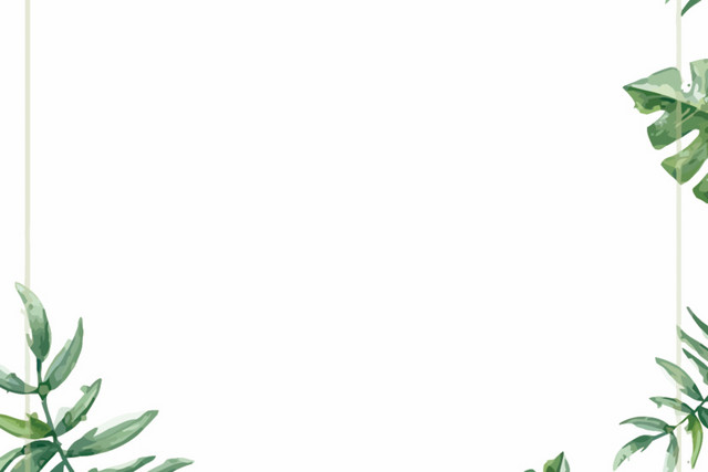 矢量绿叶边框
