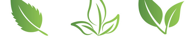 绿叶矢量素材