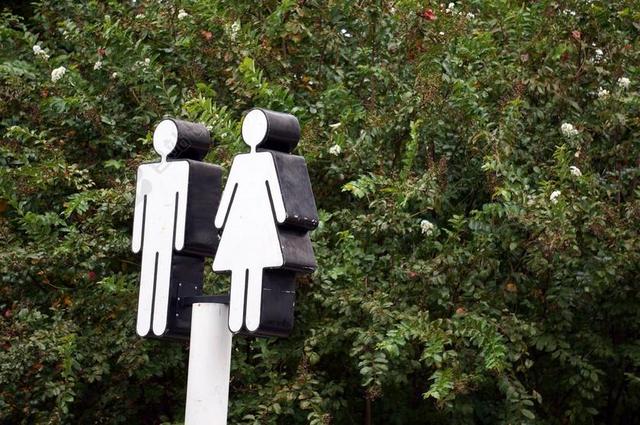 白绿标牌简单野外树边的男女小人像卫生间指示性别牌子背景图片