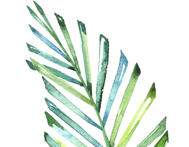 花卉矢量素材绿植花卉