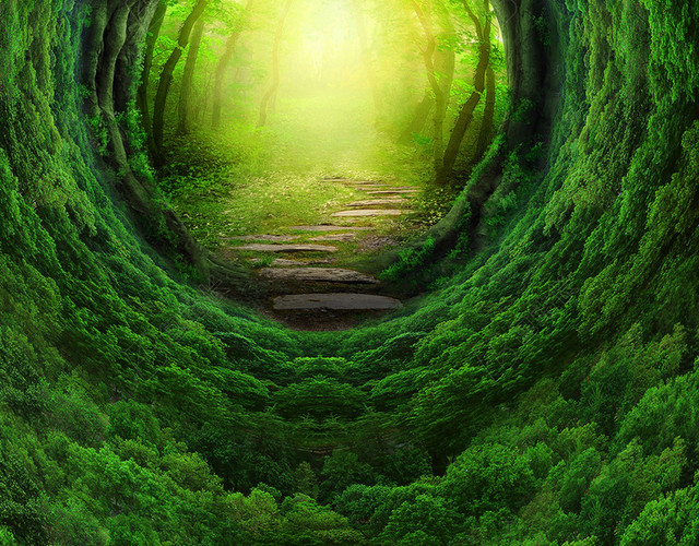 结婚婚庆婚纱照森林背景