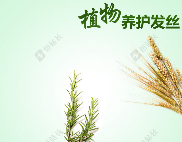 绿色渐变小清新植物洗发露背景