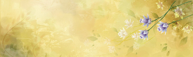 高清炫彩花卉BANNER背景