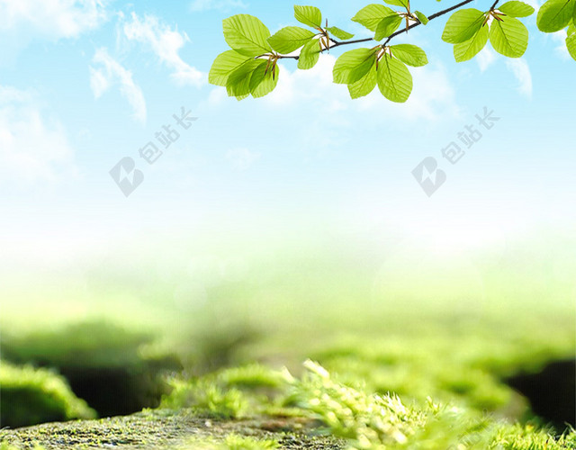 简约小清新植物背景促销主图