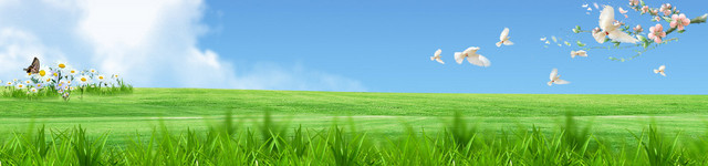 清明节春季踏青BANNER