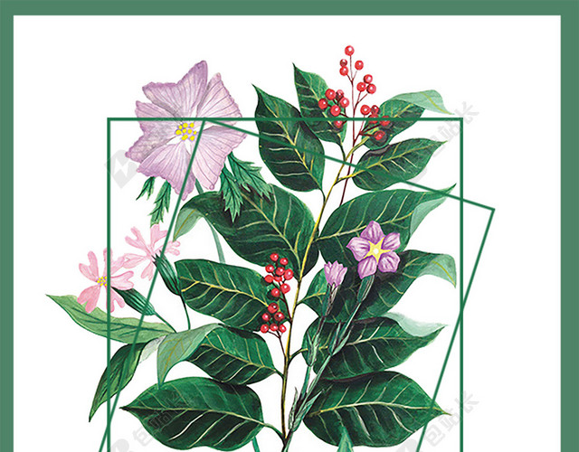 手绘小清新叶子植物花草海报