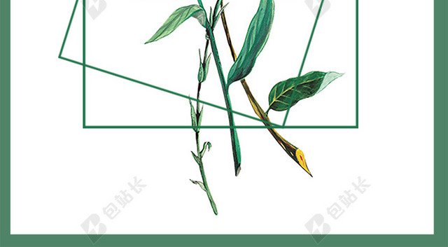 手绘小清新叶子植物花草海报