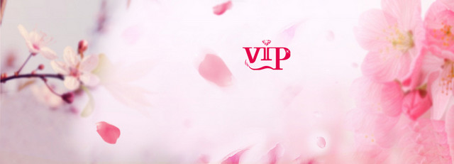 VIP会员日背景BANNER
