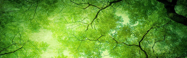 现代简约BANNER创意海报设计