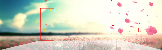 简约花瓣背景BANNER