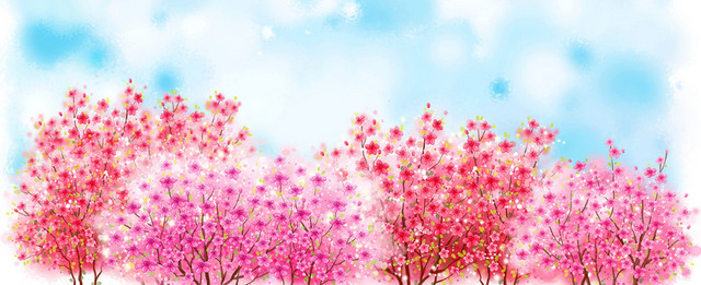 卡通手绘樱花背景BANNER
