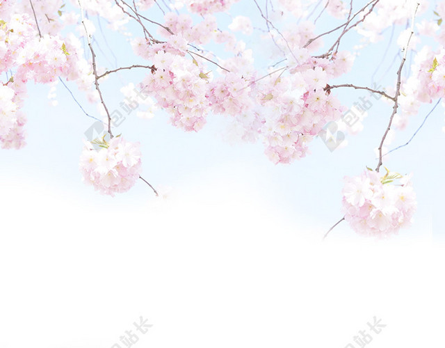 粉色花朵浪漫美妆PSD分层主图背景素材