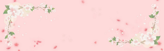 樱花飘落BANNER