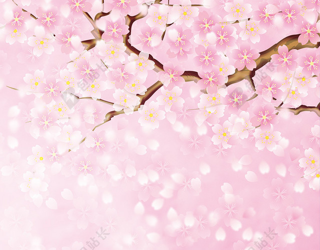 浪漫樱花背景