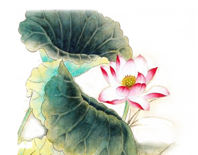 中国风荷花水彩素材
